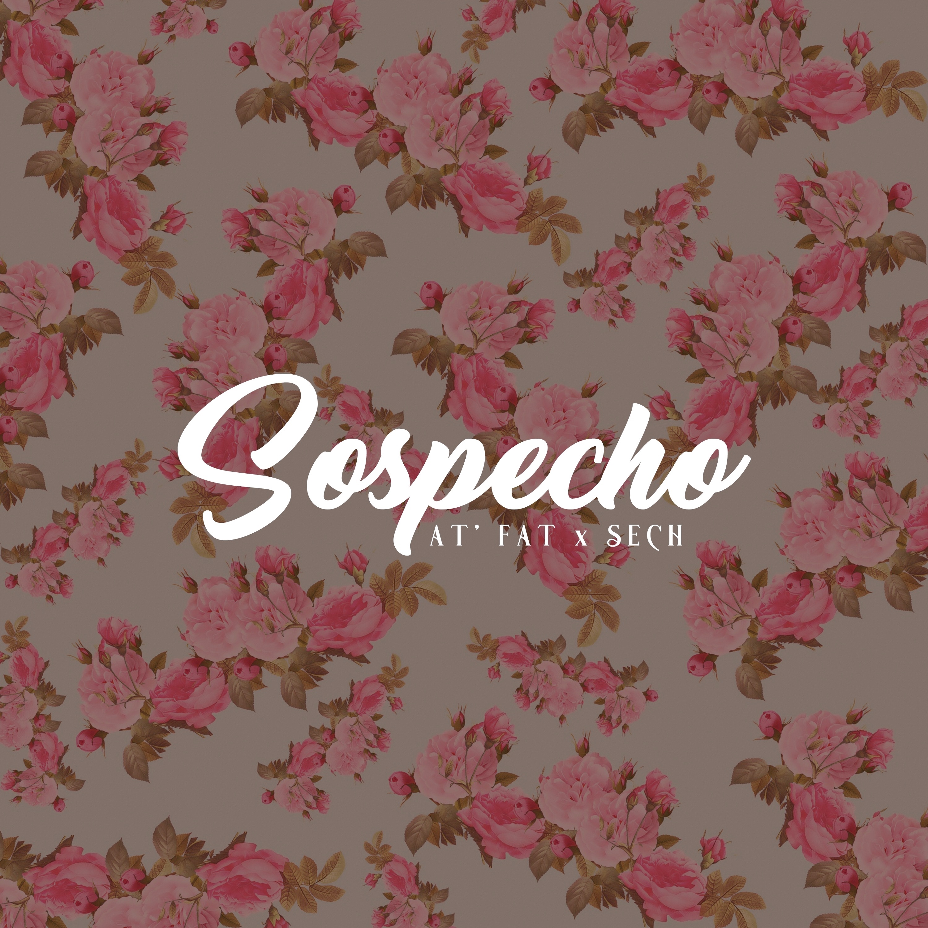 Sospecho (feat. Sech) - Single album cover