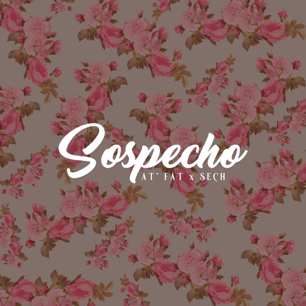 Sospecho (feat. Sech) - Single album cover