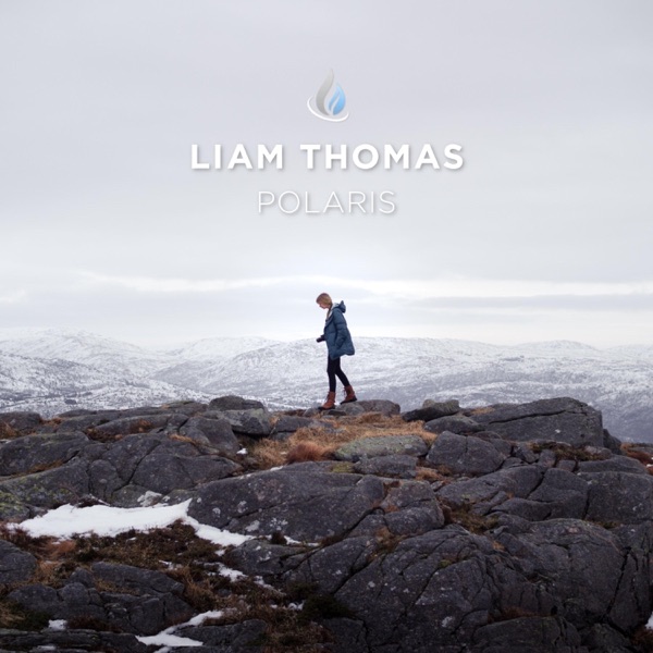 Polaris - Single album cover