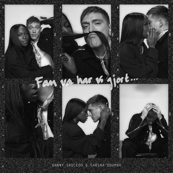 Fan va har vi gjort... - Single album cover