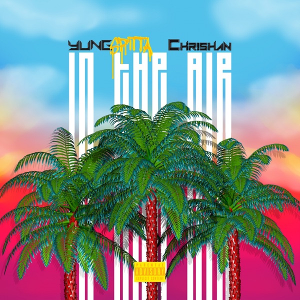 In the Air (feat. Chrishan) - Single album cover