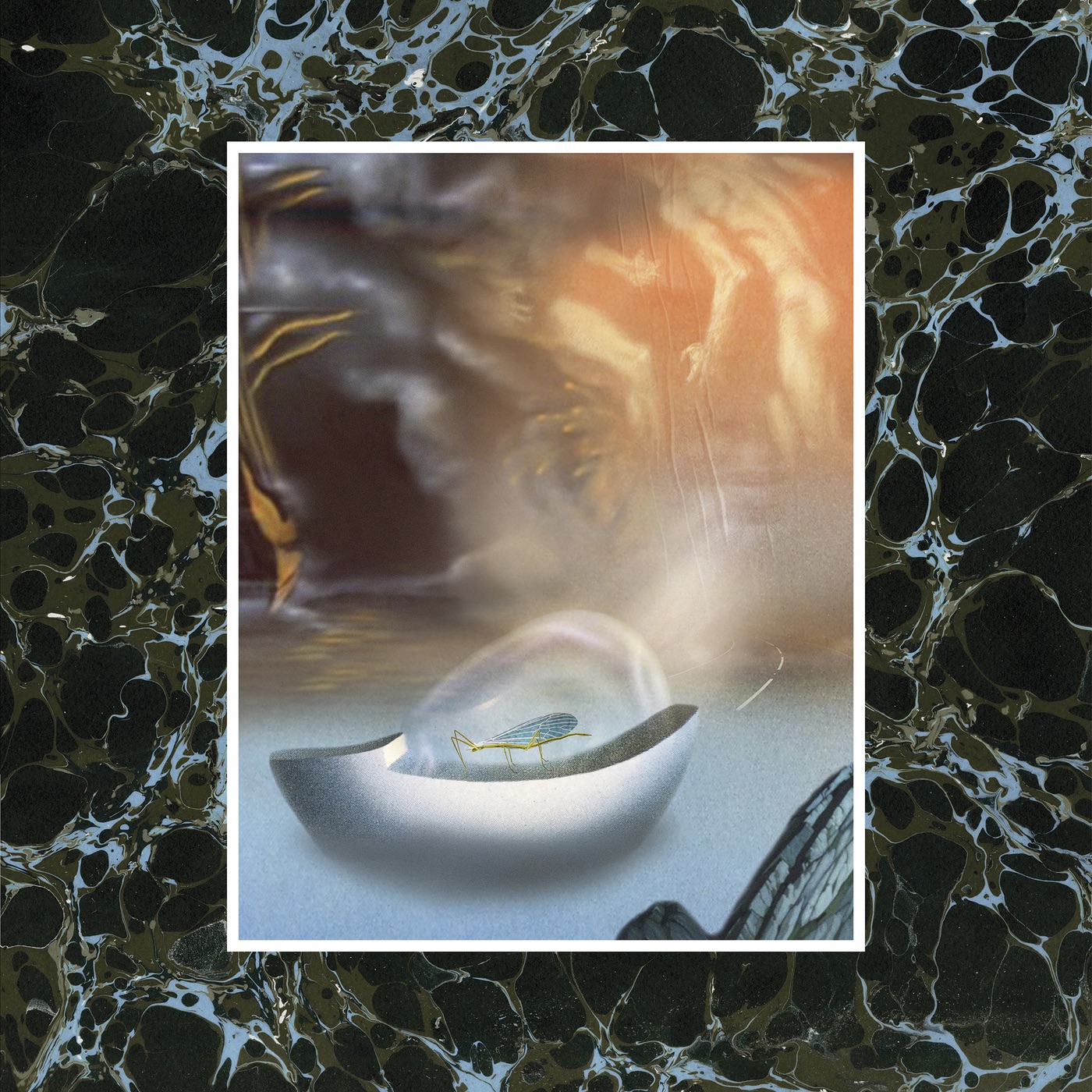 Scarecrow - Single album cover