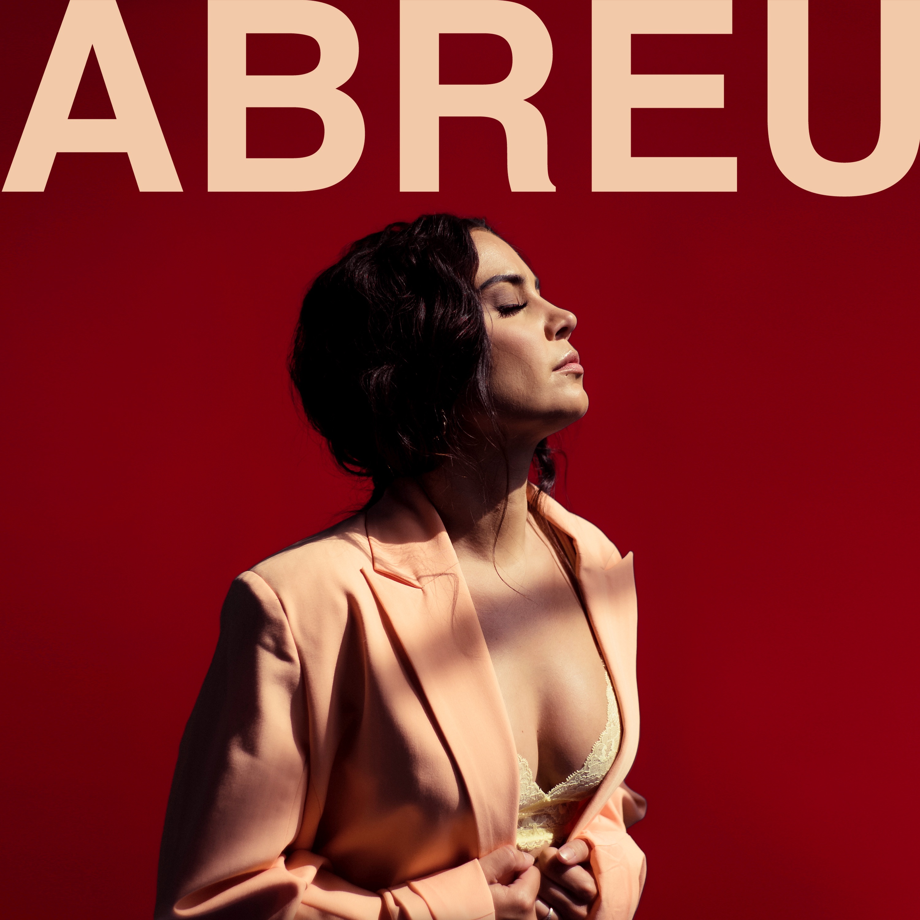 20 Ave Mariaa - Single album cover