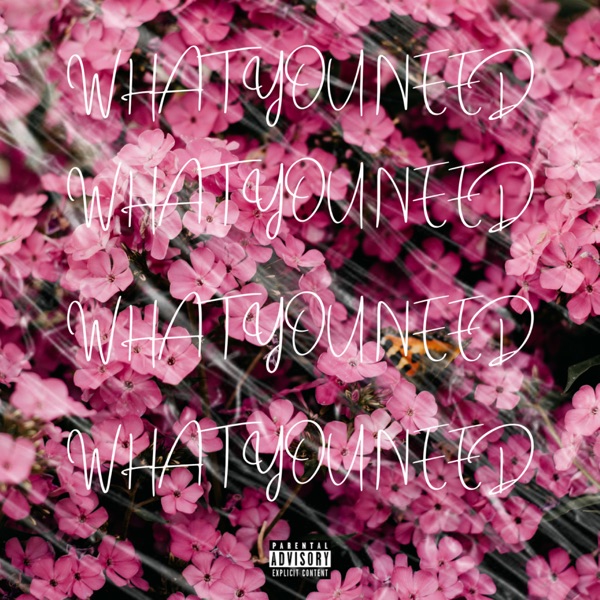 What You Need - Single album cover
