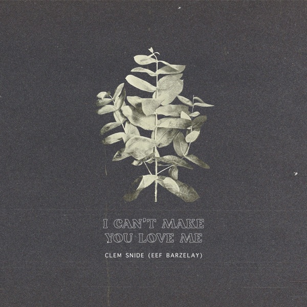 I Can't Make You Love Me - Single album cover