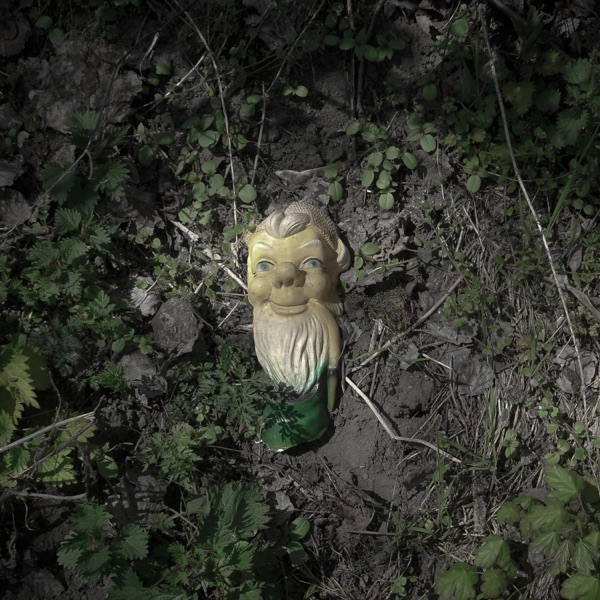 Cotton - Single album cover