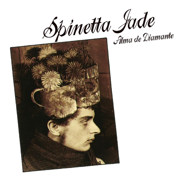 Alma de Diamante album cover