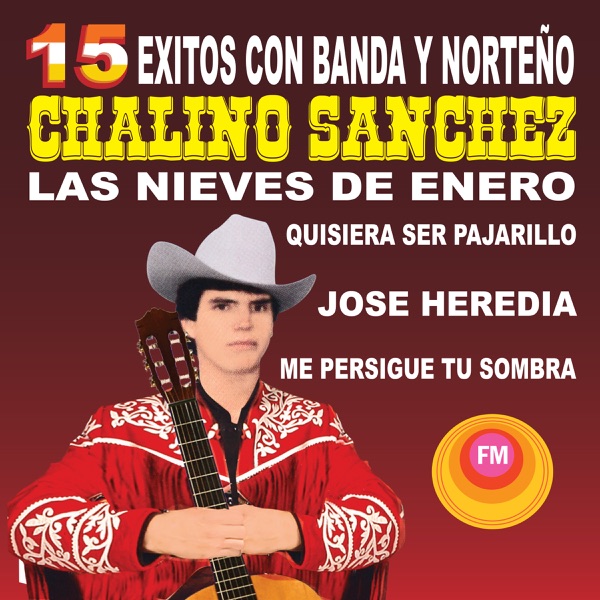15 Éxitos Con Banda y Norteño album cover