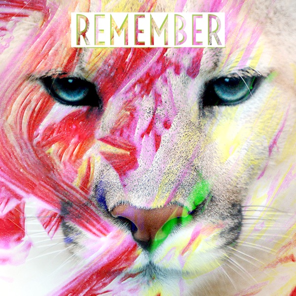 Remember - Single album cover