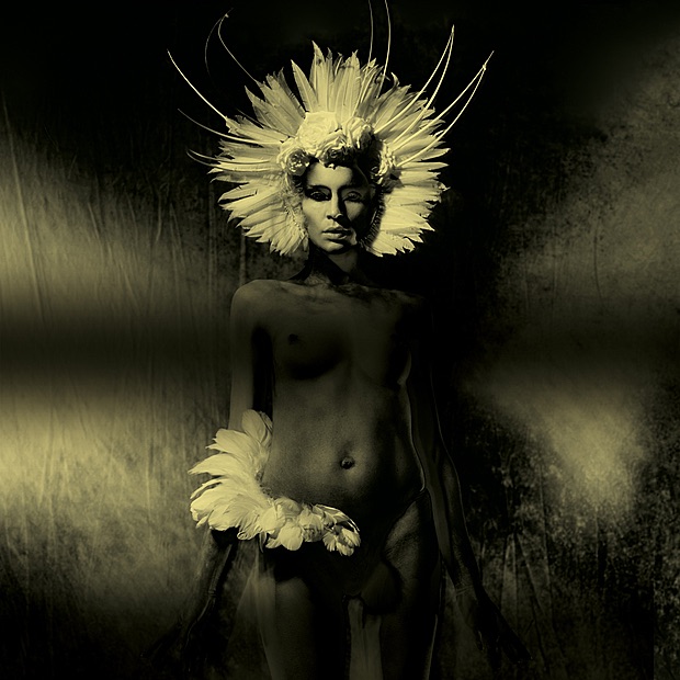 Where Did the Night Fall - Another Night Out album cover