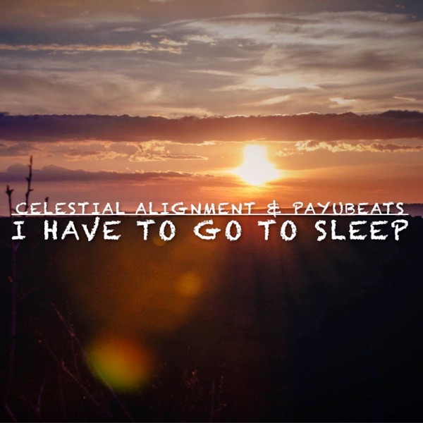 I Have to Go to Sleep - Single album cover