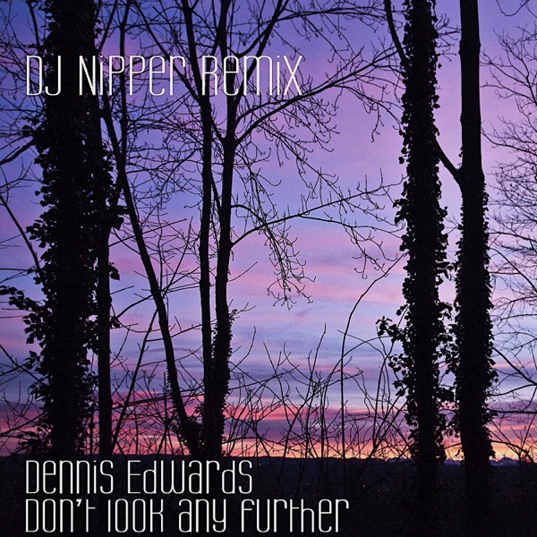 Don't Look Any Further (feat. Siedah Garrett) - Single album cover