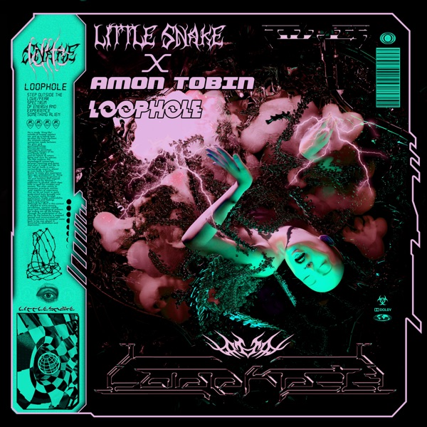 Loophole - Single album cover