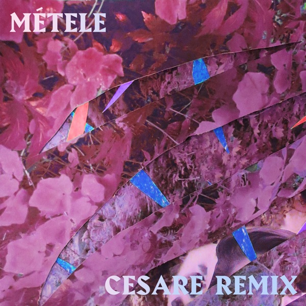 Métele (Cesare Remix) - Single album cover