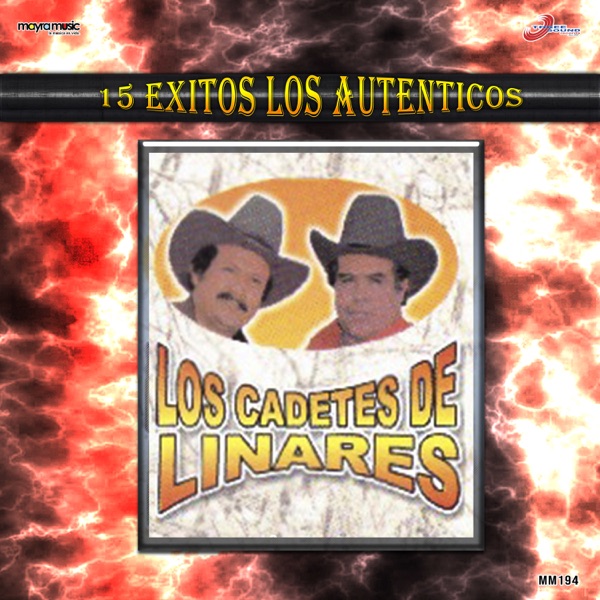 15 Éxitos Los Auténticos album cover
