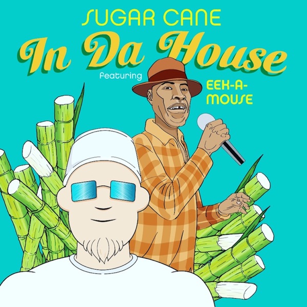 In da House (feat. Eek-A-Mouse) - Single album cover