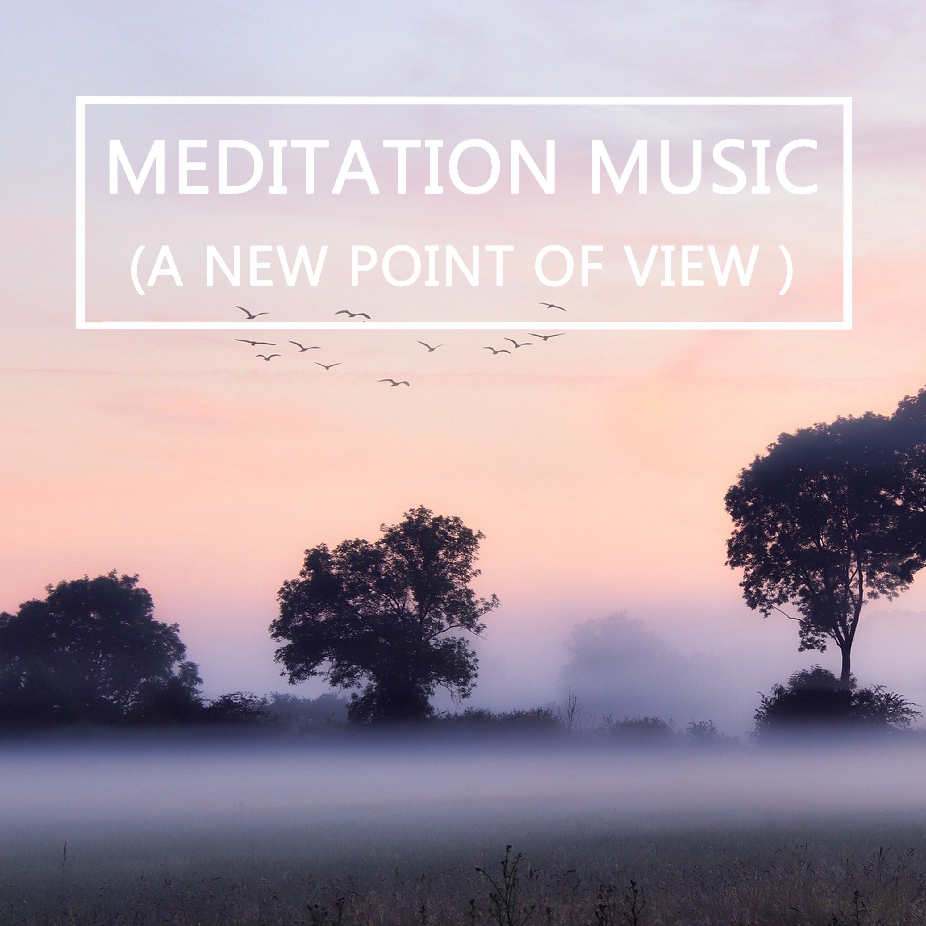 Meditation Music (A New Point of View) album cover