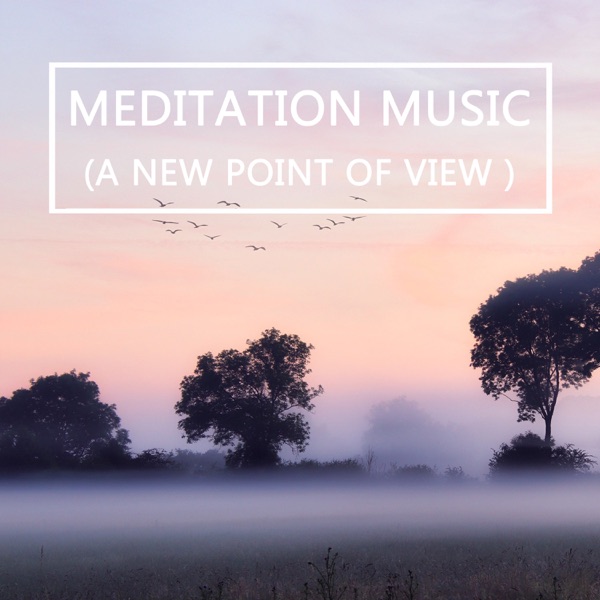 Meditation Music (A New Point of View) album cover