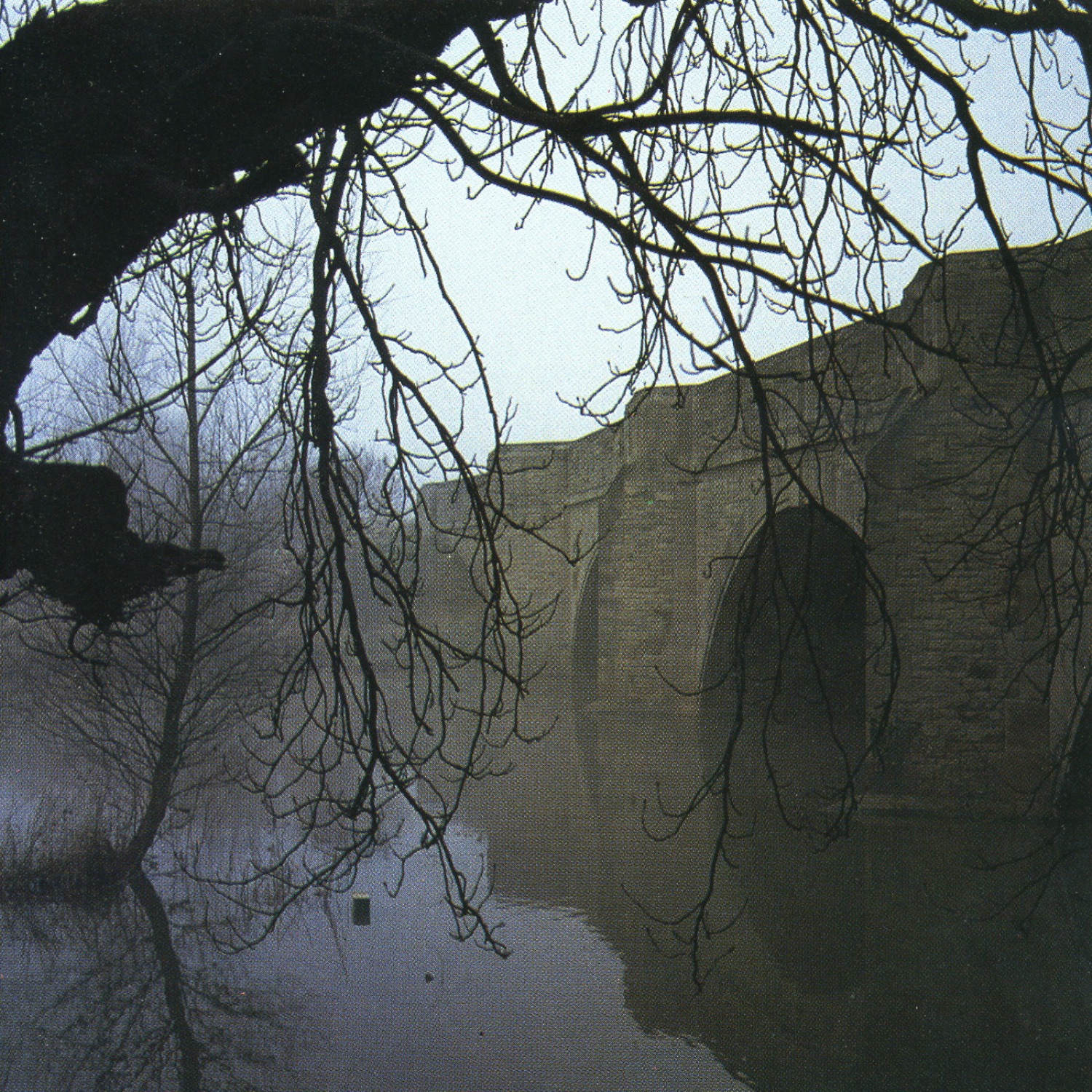 The Mirror Test album cover