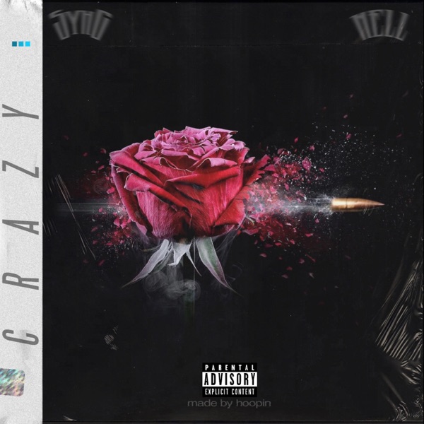 Crazy (feat. Nell) - Single album cover