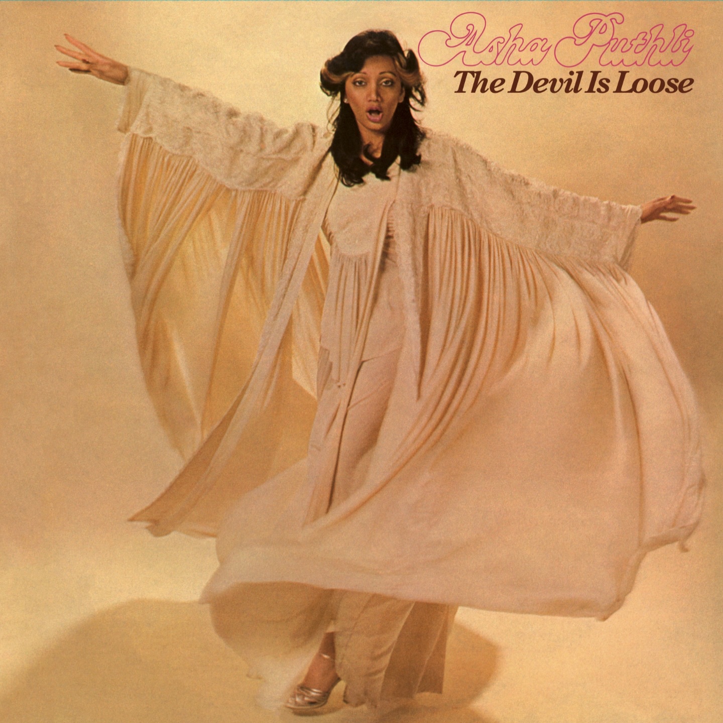 The Devil Is Loose album cover