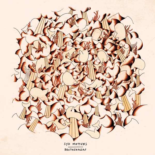 Brotherocean album cover