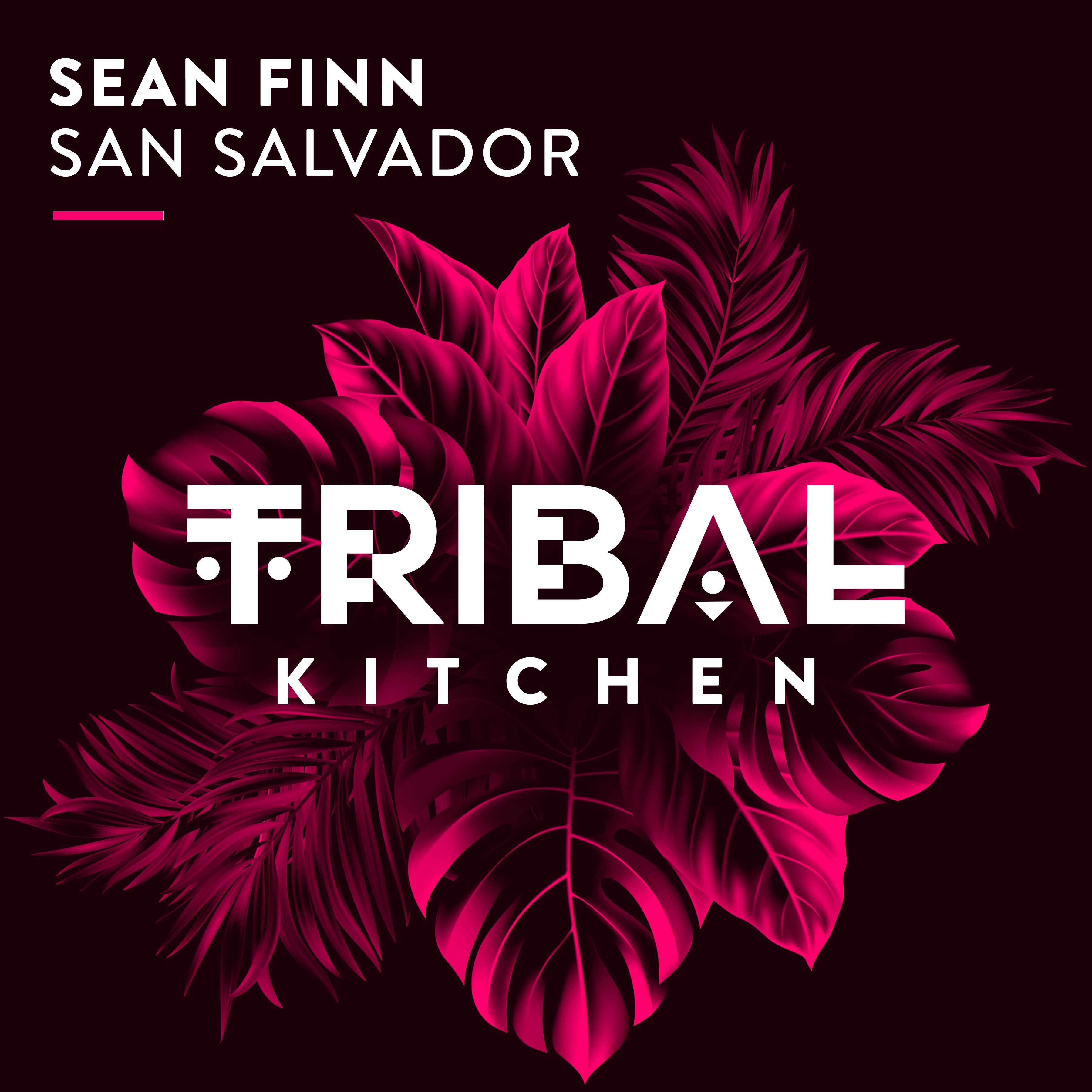 San Salvador - EP album cover