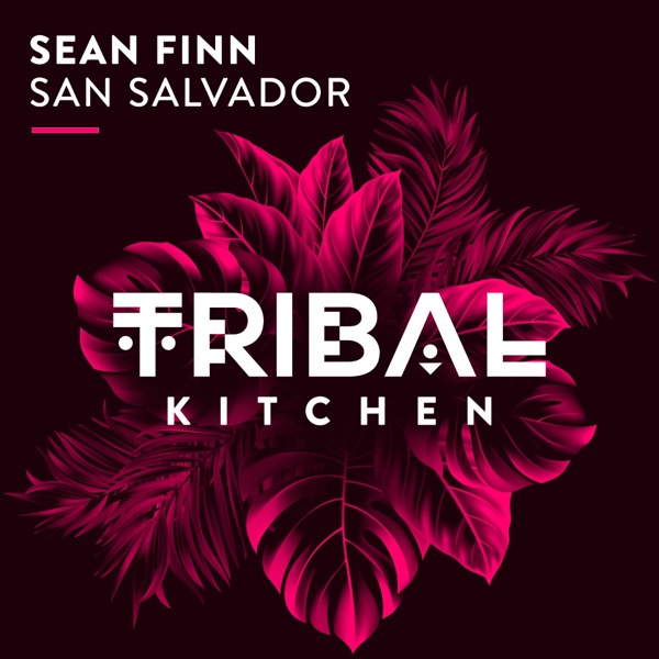 San Salvador - EP album cover