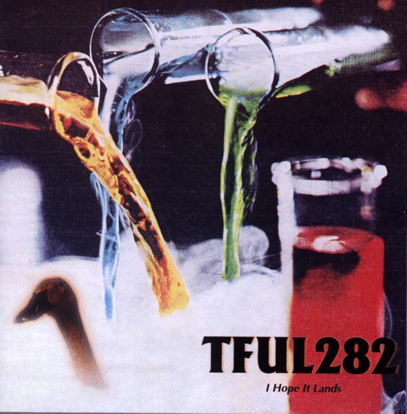 I Hope It Lands album cover