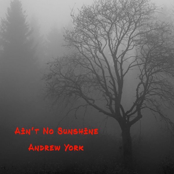 Ain't No Sunshine - Single album cover