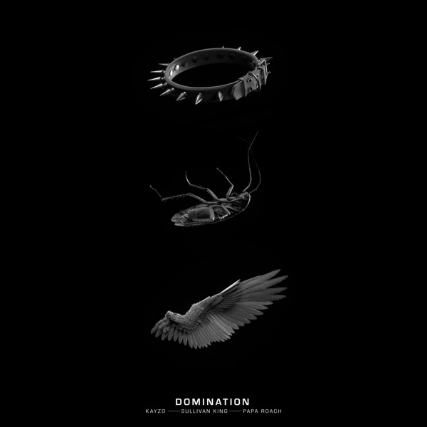 DOMINATION - Single album cover