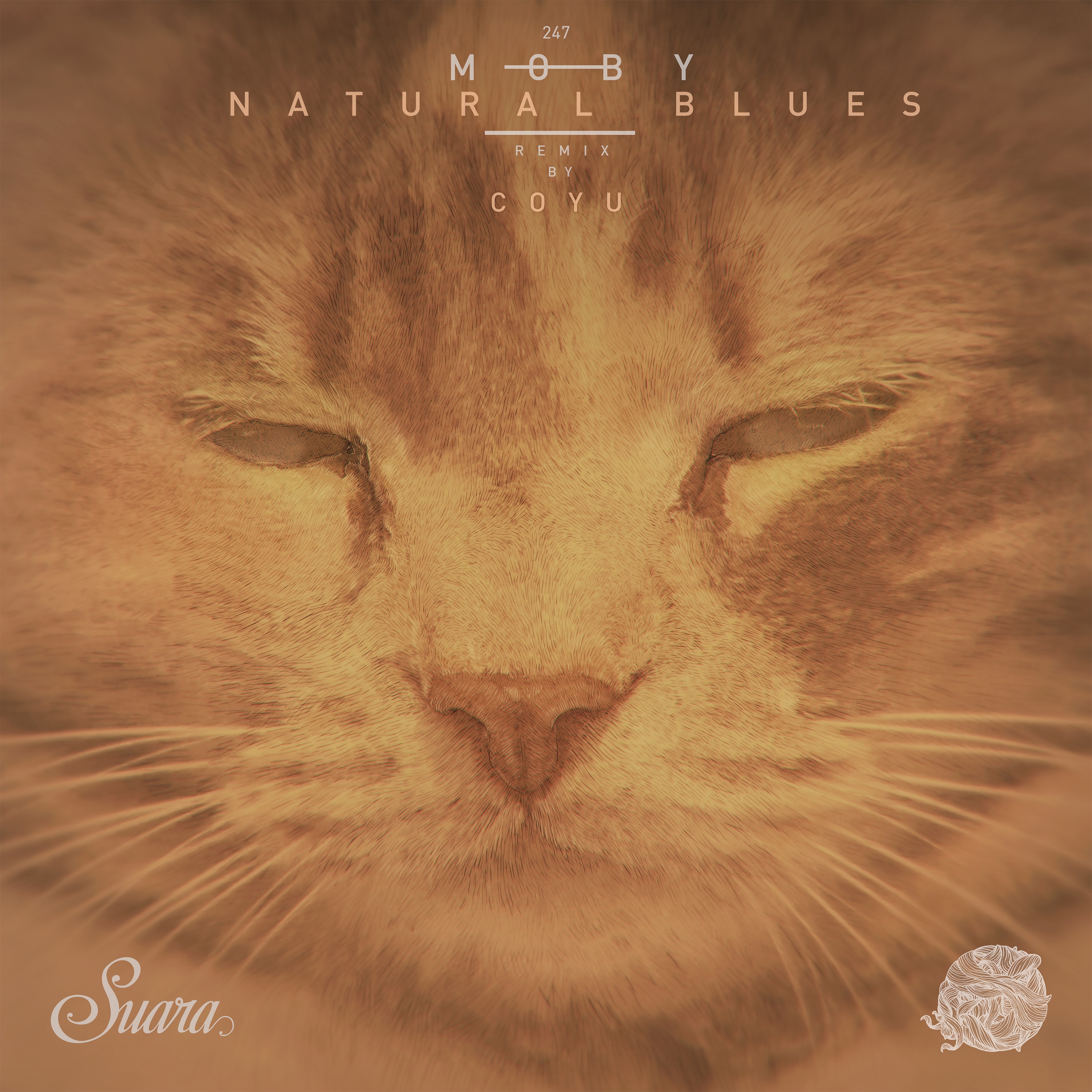 Natural Blues (Coyu Remix) - Single album cover