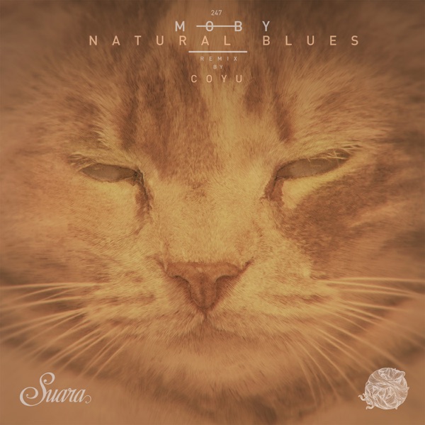Natural Blues (Coyu Remix) - Single album cover