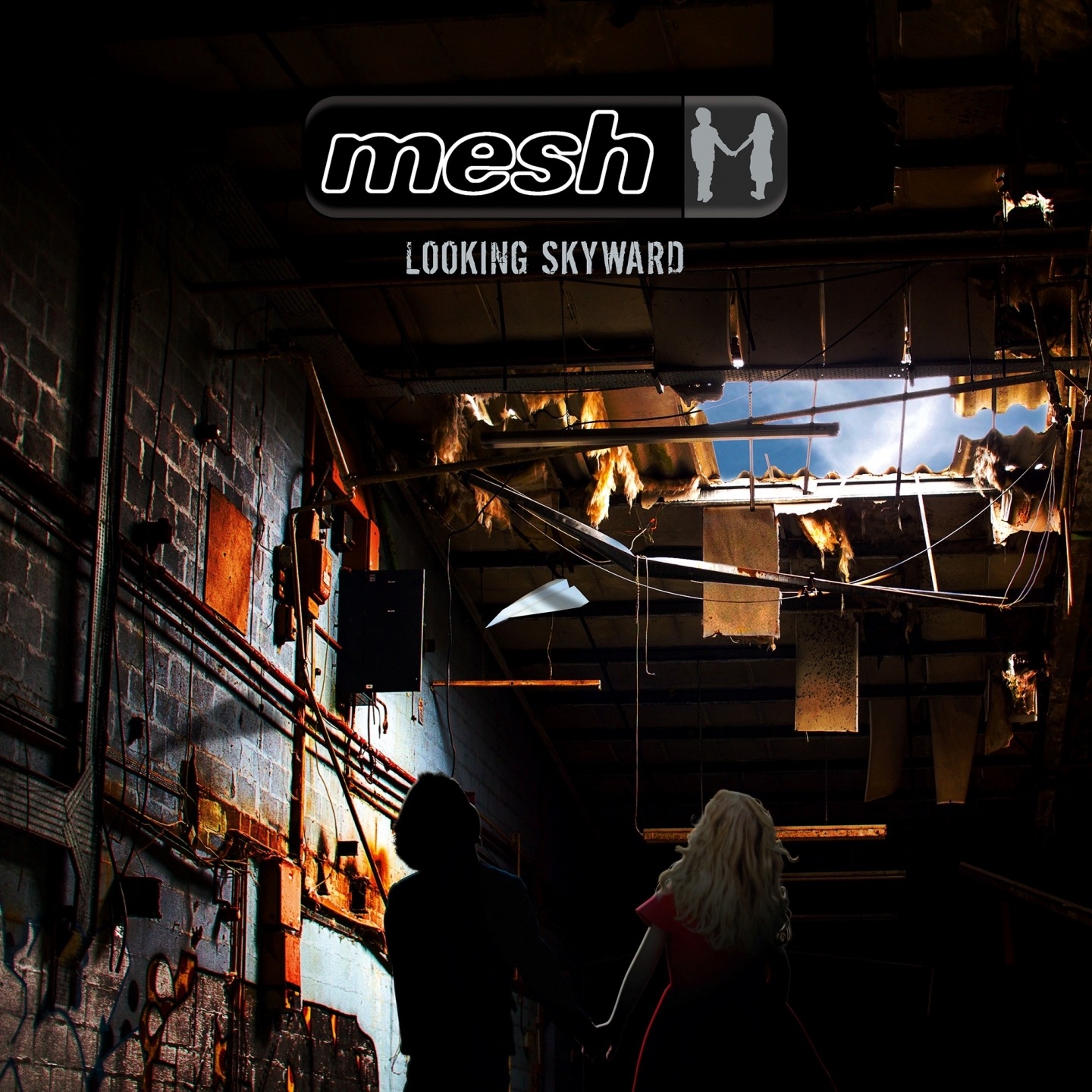 Looking Skyward album cover