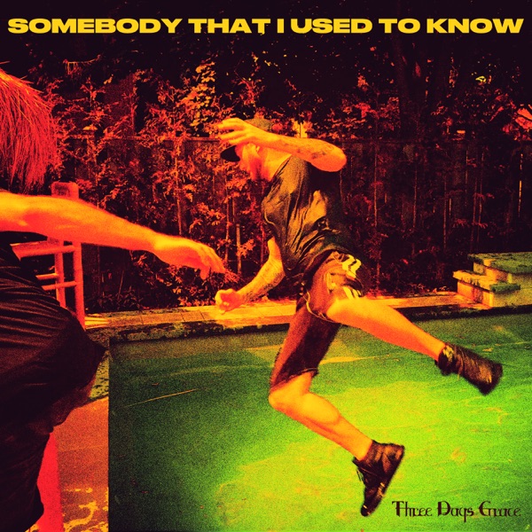 Somebody That I Used to Know - Single album cover
