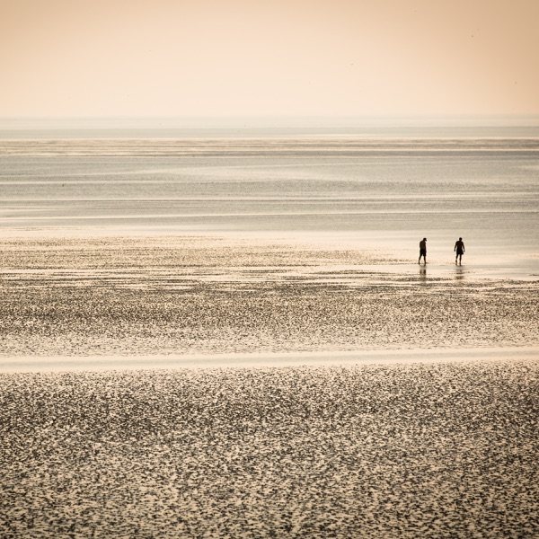 This Tide Will Bring You Home album cover