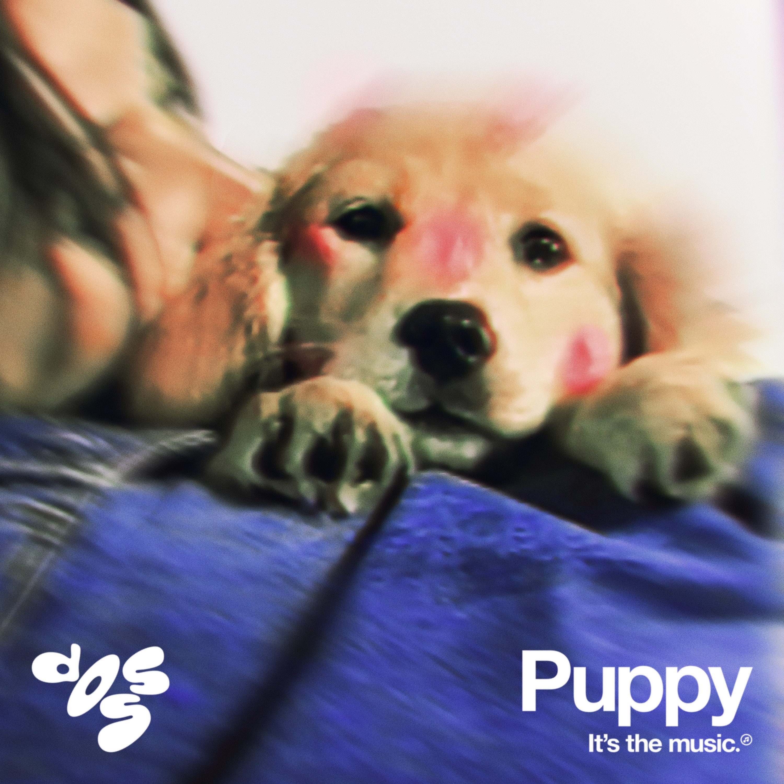 Puppy - Single album cover