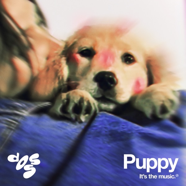 Puppy - Single album cover