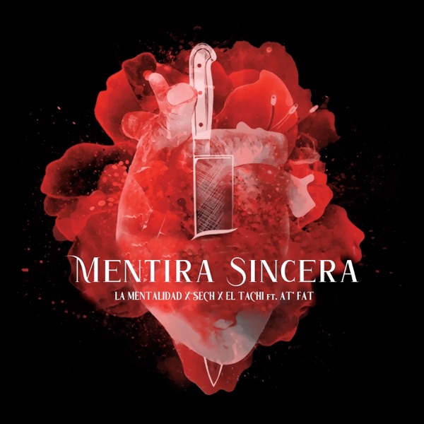 Mentira Sincera (feat. AT Fat) - Single album cover