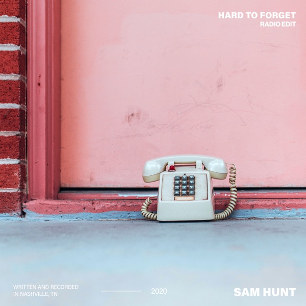Hard to Forget (Radio Edit) - Single album cover