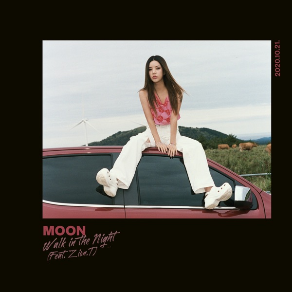 Walk in the Night (feat. Zion.T) - Single album cover