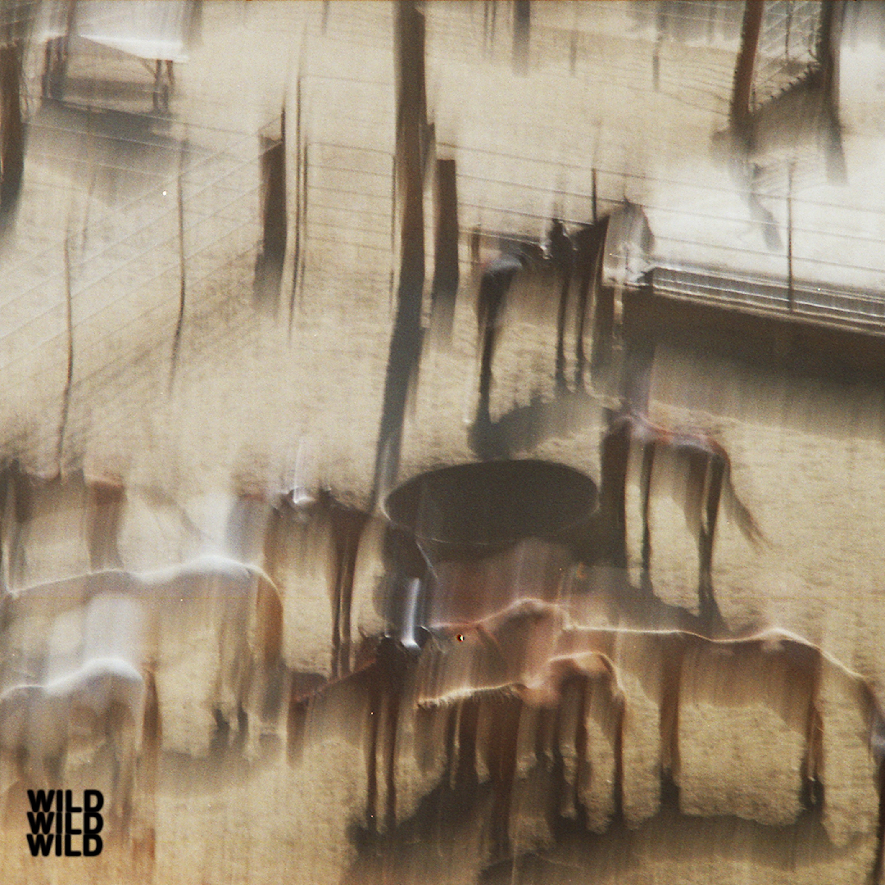 WILD - Single album cover