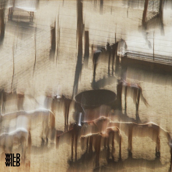 WILD - Single album cover