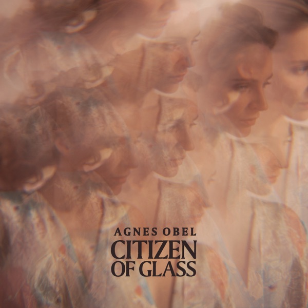Citizen of Glass album cover