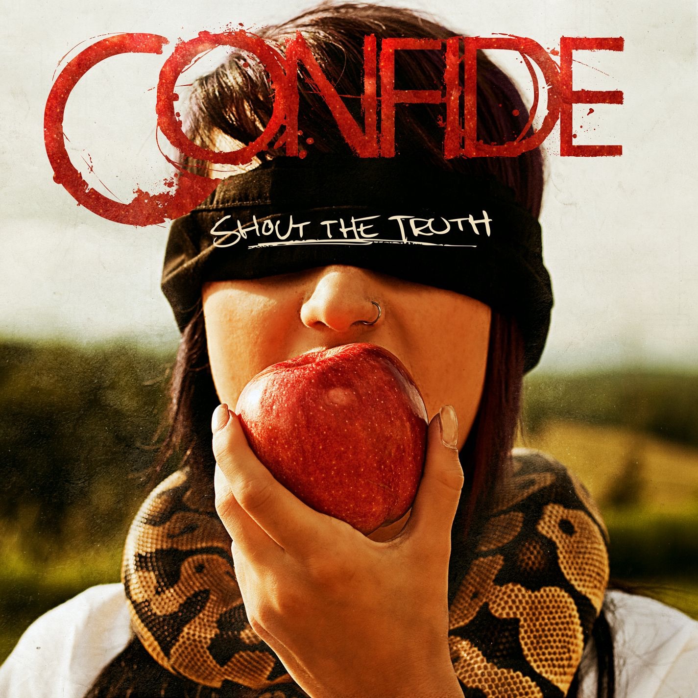 Shout the Truth album cover