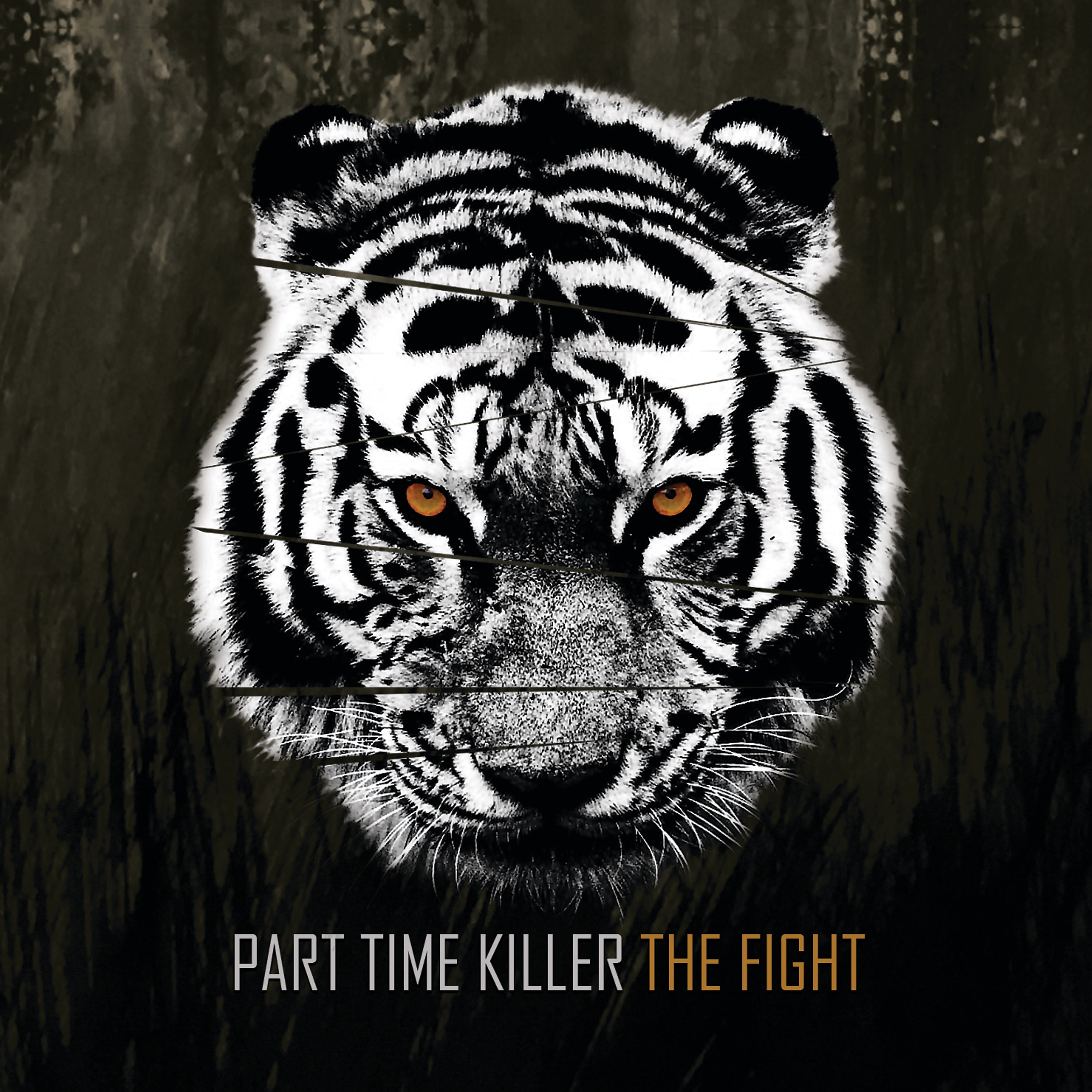 The Fight album cover