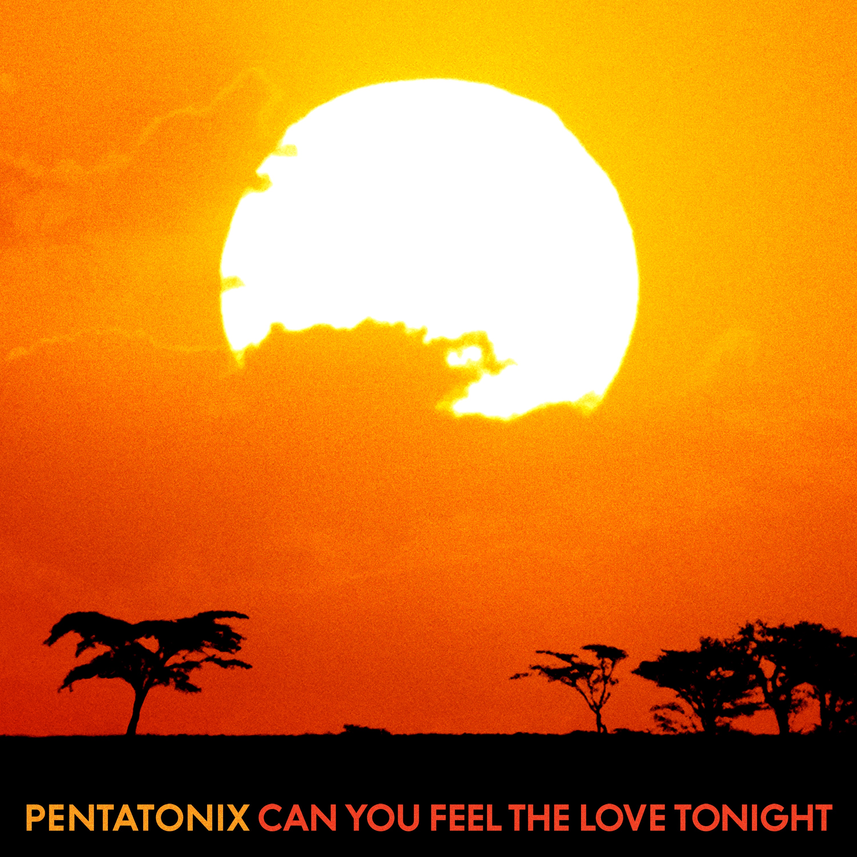 Can You Feel the Love Tonight - Single album cover