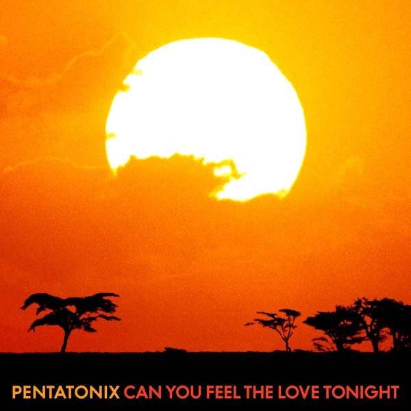 Can You Feel the Love Tonight - Single album cover