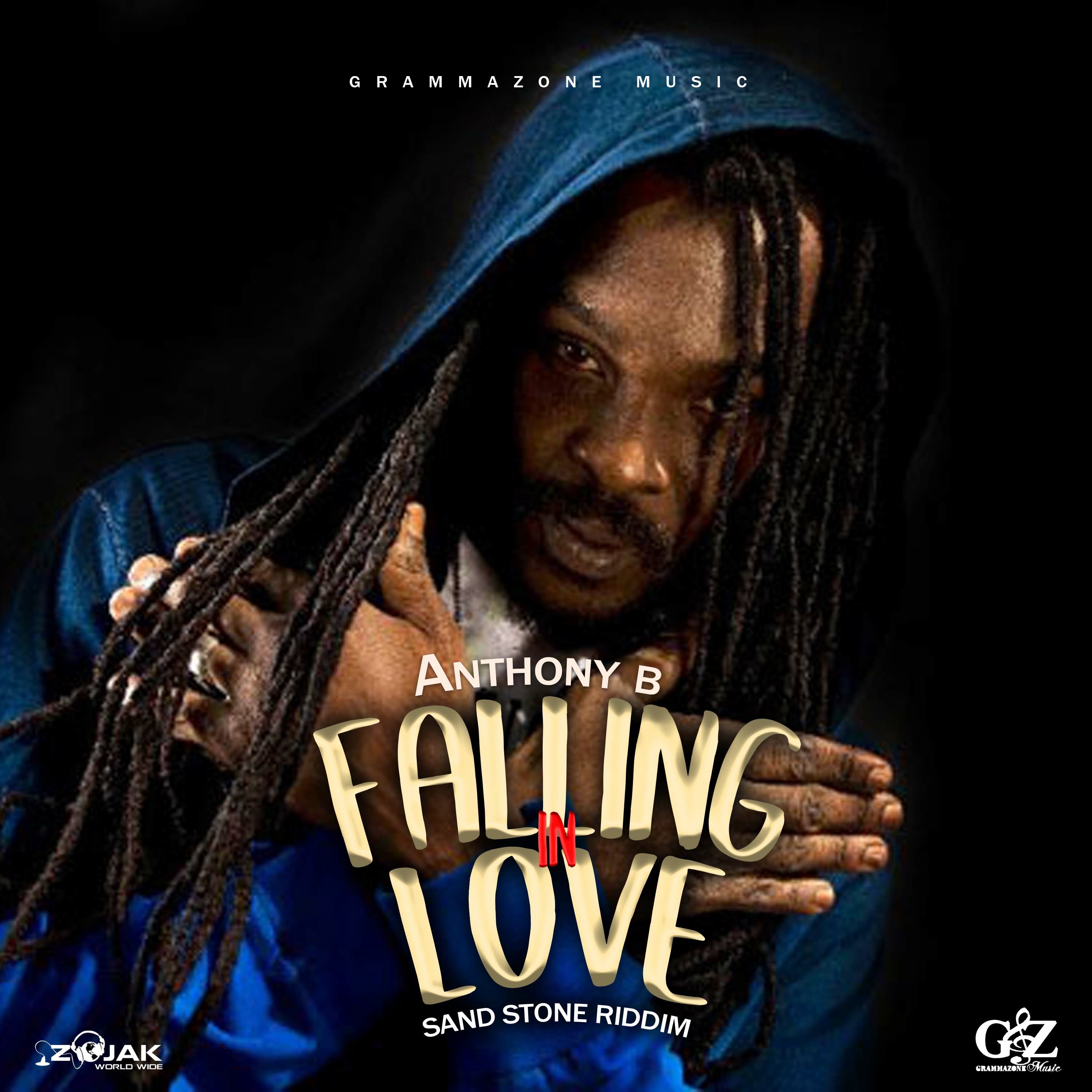 Falling in Love - Single album cover