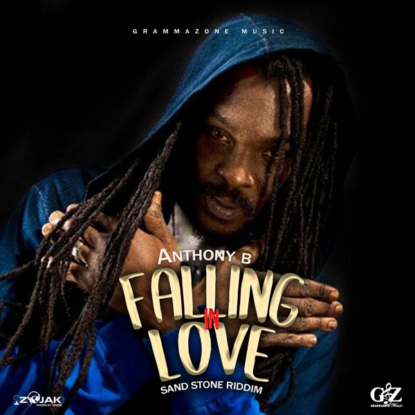 Falling in Love - Single album cover